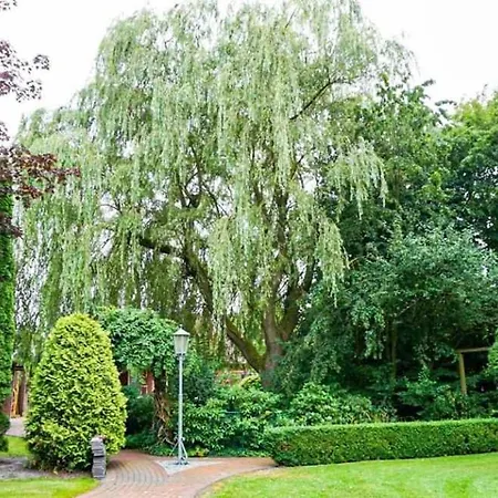 Vereinswiek 95137 *