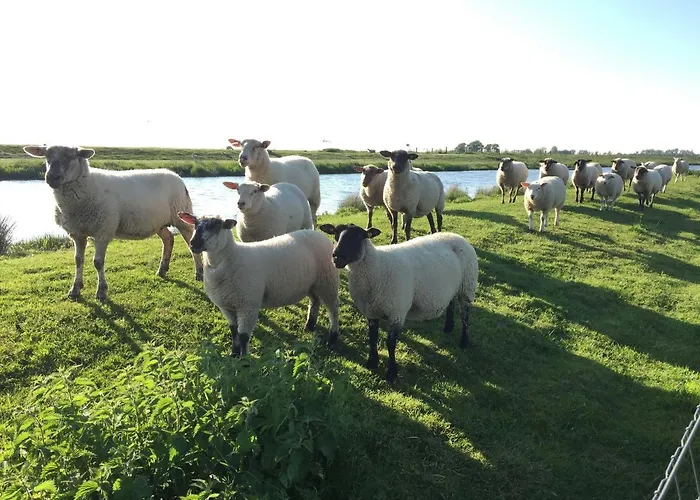Vereinswiek 95137 *