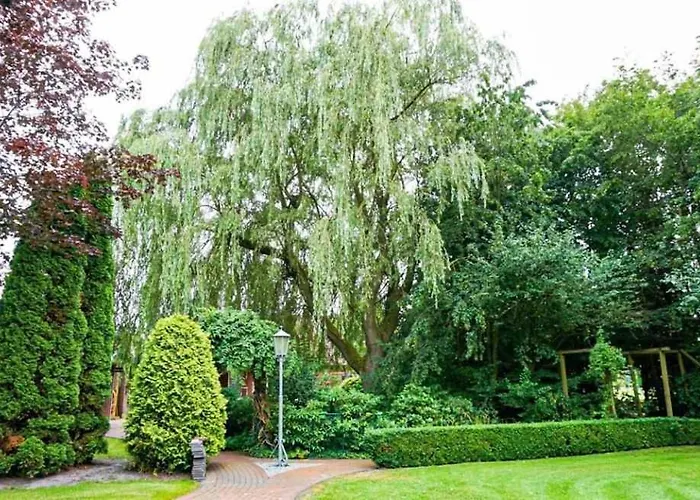 Vereinswiek 95137 *